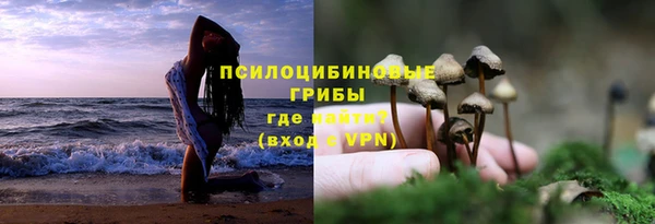 гашиш Дмитров