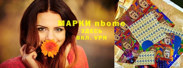амф Гусь-Хрустальный