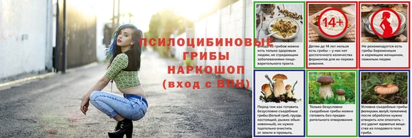 тгк Гусиноозёрск